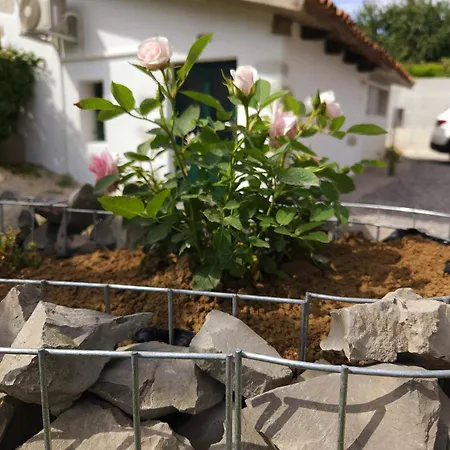 Apartma Lavanda Vremski Britof