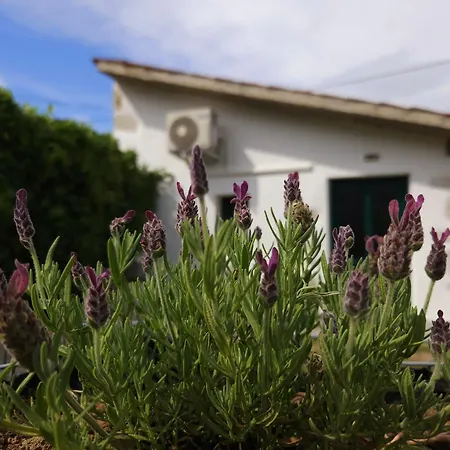 Apartma Lavanda